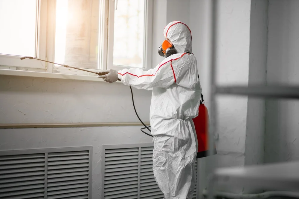 Professional mold remediation services in Sultan, WA